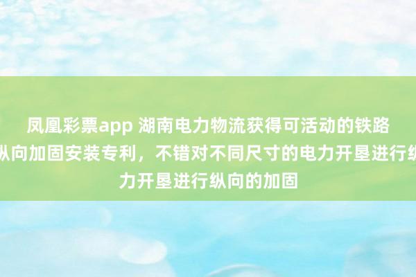 凤凰彩票app 湖南电力物流获得可活动的铁路落下孔车纵向加固安装专利，不错对不同尺寸的电力开垦进行纵向的加固