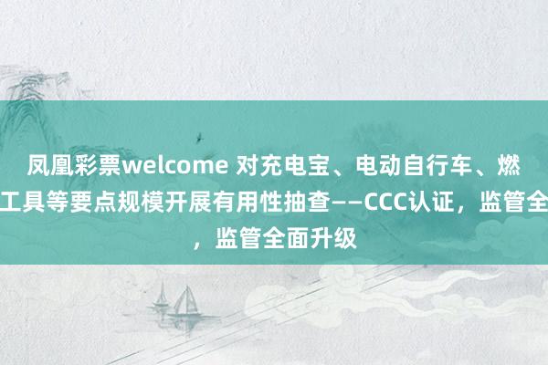 凤凰彩票welcome 对充电宝、电动自行车、燃气罢休工具等要点规模开展有用性抽查——CCC认证，监管全面升级