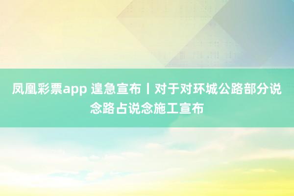 凤凰彩票app 遑急宣布丨对于对环城公路部分说念路占说念施工宣布