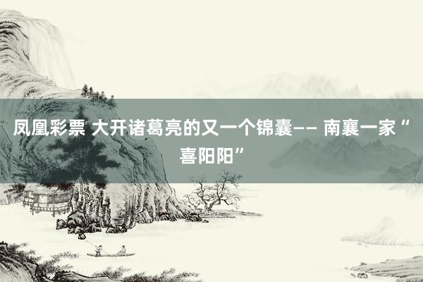 凤凰彩票 大开诸葛亮的又一个锦囊—— 南襄一家“喜阳阳”