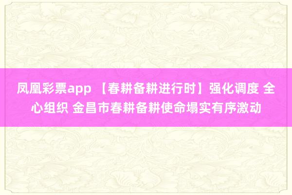凤凰彩票app 【春耕备耕进行时】强化调度 全心组织 金昌市春耕备耕使命塌实有序激动