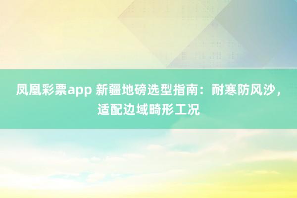 凤凰彩票app 新疆地磅选型指南：耐寒防风沙，适配边域畸形工况