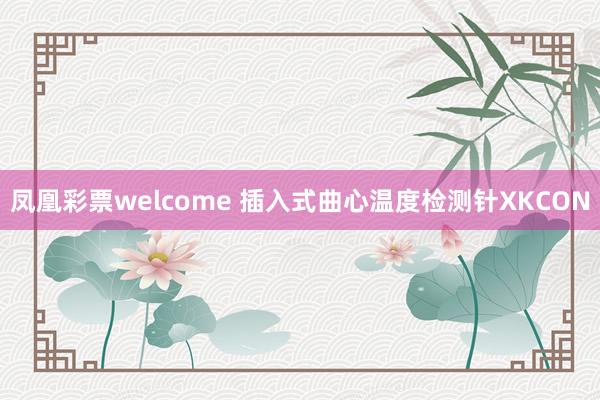 凤凰彩票welcome 插入式曲心温度检测针XKCON