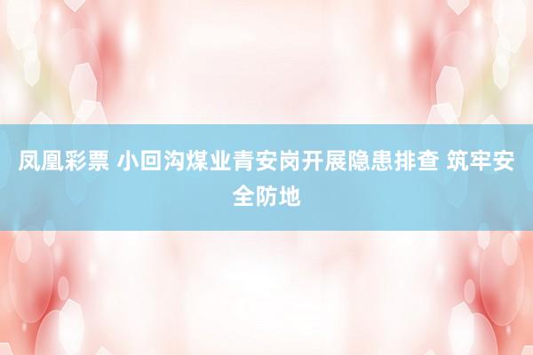 凤凰彩票 小回沟煤业青安岗开展隐患排查 筑牢安全防地