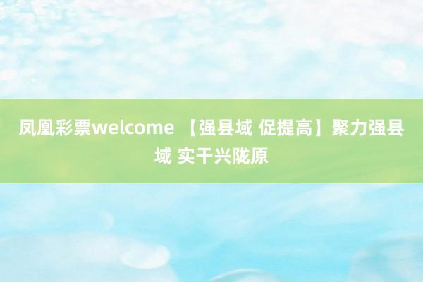 凤凰彩票welcome 【强县域 促提高】聚力强县域 实干兴陇原