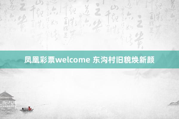 凤凰彩票welcome 东沟村旧貌焕新颜
