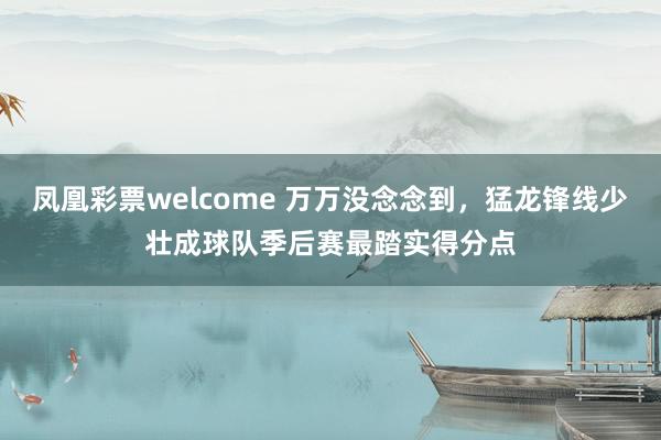 凤凰彩票welcome 万万没念念到，猛龙锋线少壮成球队季后赛最踏实得分点