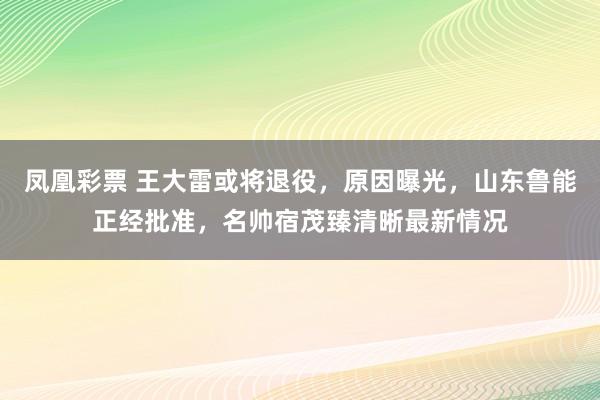 凤凰彩票 王大雷或将退役，原因曝光，山东鲁能正经批准，名帅宿茂臻清晰最新情况