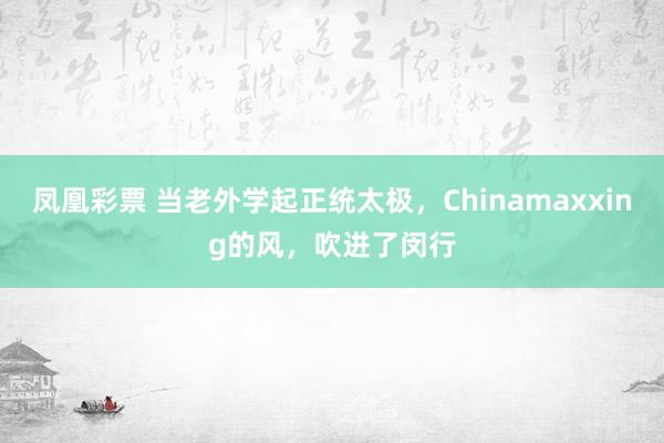 凤凰彩票 当老外学起正统太极，Chinamaxxing的风，吹进了闵行