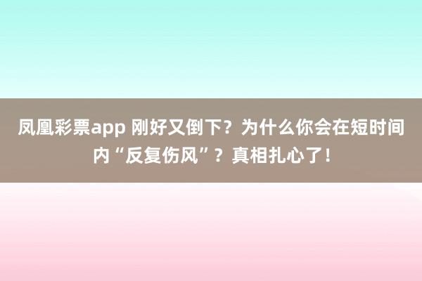凤凰彩票app 刚好又倒下？为什么你会在短时间内“反复伤风”？真相扎心了！