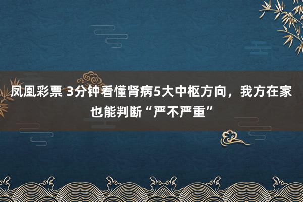 凤凰彩票 3分钟看懂肾病5大中枢方向，我方在家也能判断“严不严重”