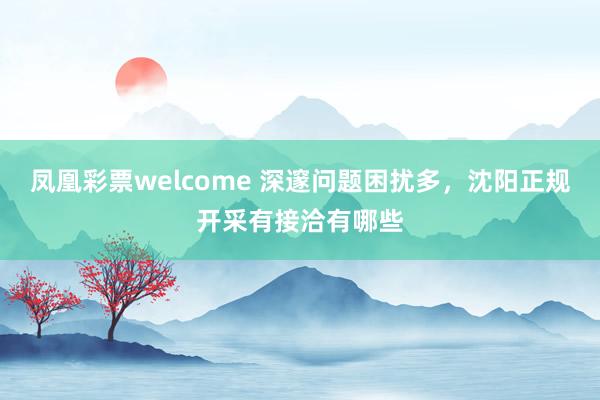 凤凰彩票welcome 深邃问题困扰多，沈阳正规开采有接洽有哪些